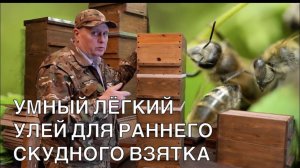 УМНЫЙ ЛЁГКИЙ УЛЕЙ ДЛЯ РАННЕГО СКУДНОГО ВЗЯТКА