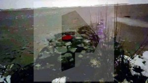 Прохожие спасли провалившихся под лед детей в Балашихе