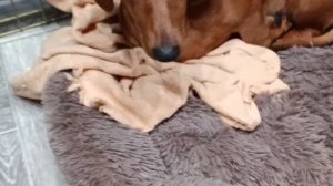 привет друзья