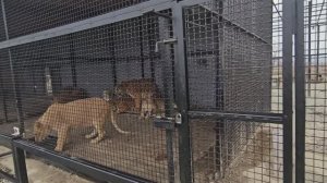 Архыз Долина Тигров.