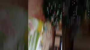 Пять ночей с гусеницой 2 часть 1 ночь