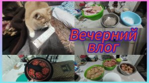 "ЧП" ПЕРЕД Н.Г.,  ВЫЗЫВАЛИ ДЕЖ. БРИГАДУ. НАСОЛИЛА ДОМАШНЕГО САЛА