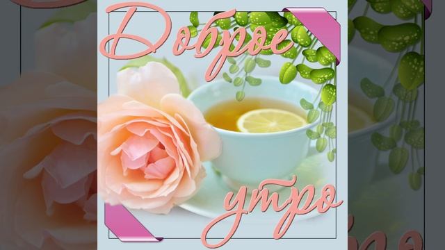 Красивая видео-открытка с добрым утром! смотреть онлайн