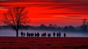 Литая Война