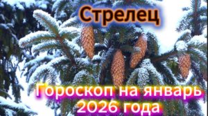 Стрелец! Гороскоп на январь 2026 года!