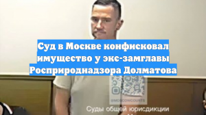 Суд в Москве конфисковал имущество у экс-замглавы Росприроднадзора Долматова