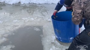 Запуск форели 27.12.25