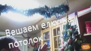 Спасаем елку от кота.