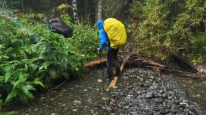 ПРИЁМЫ ВЫЖИВАНИЯ В ЛЕСУ, НОЧЬ В ИЗБУШКЕ, ПОСЛЕДНИЙ ПОХОД ГРУППЫ