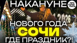Новый год в Сочи 2026 🎄Елки и атмосфера без снега ➤Как встречают Новый год в Сочи 🔵Просочились