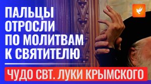 Случилось самое невероятное чудо в наши дни: у парня отросли пальцы по молитва к Луке Крымскому