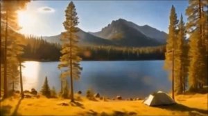 Красавицы в лесу - 9