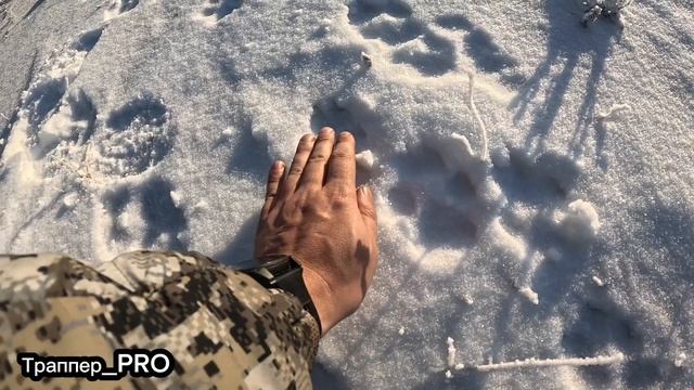 Поиск серых разбойников.mp4 смотреть онлайн