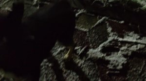 В ТАМАНИ ВЫПАЛ СНЕГ 26.12.2025