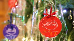 Патрушев, Дегтярев и Волк приняли участие в акции "Елка желаний"