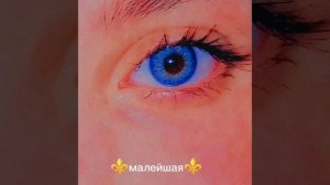 ❤️🩹 цыганская песня ⚜️как я тебя люблю ❤️⚜️2025