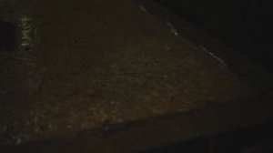 Расслабляющий звук дождя и ветра в лесу 3 часа _ Капли дождя падают с деревьев под порывами ветра