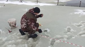 Светлые Горы Форель 27.12.2025г.