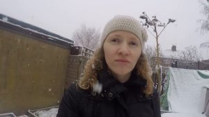 По просьбе Любови Вопросы-ответы  2017