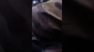 Эвакуация жителей Покровска!