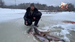 Алексей рассказал как сегодня проходит рыбалка.