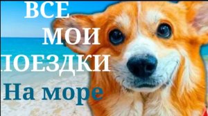 Все мои поездки на море! (Корги Коржик) Говорящая собака