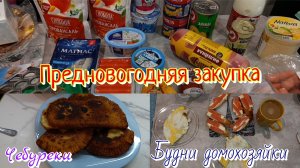 Закупка к Новому Году 🛒🎄 Чебуреки 🍽️ Будни домохозяйки 💃