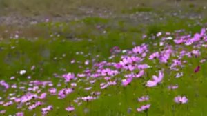 За_Спасение_Дочери_Андрей_Попр92