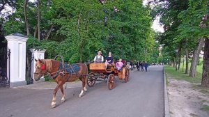 Парк Несвиж