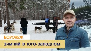 Зимний Воронеж, в юго-западном 27.12.25г.