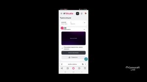 Играю в манькрафт