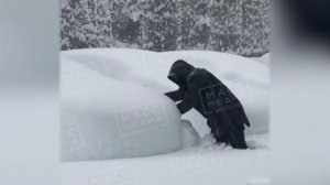 Снежный апокалипсис на Камчатке.