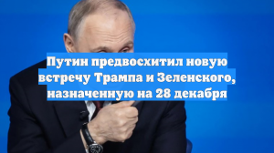 Путин предвосхитил новую встречу Трампа и Зеленского, назначенную на 28 декабря