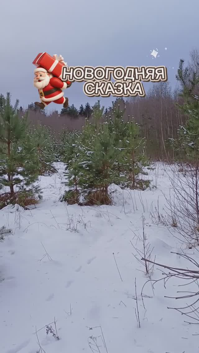Новогодняя сказка ❄️👍 смотреть онлайн