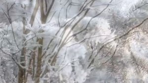 НОВОГОДНЕЙ СКАЗКОЙ.. 💥Песня , открывающая дверцы Счастья 🔥