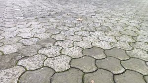 Анапа. Небольшой снежок сегодня! 27 декабря 2025.