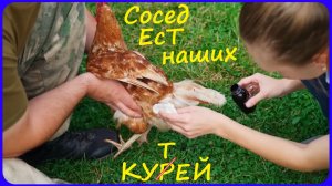 ЗАИМККА НА УРАЛЕ - СОСЕД ЕСТ КУРЕЙ