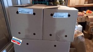 Получили 3600 яиц от наших постоянных помощников компании "ЛЕТО" 🌞🌞🌞 Нам морозы не страшны 🔥