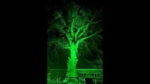 Архив . Воронежский государственный природный биосферный заповедник