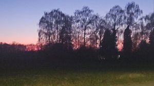 26.12.25. Немного прогулялись..