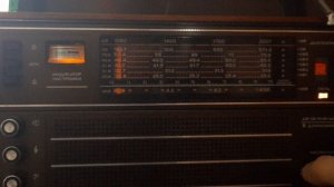 Коричневый Океан 214