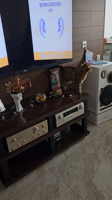 Лиза слушает музыку смотреть онлайн