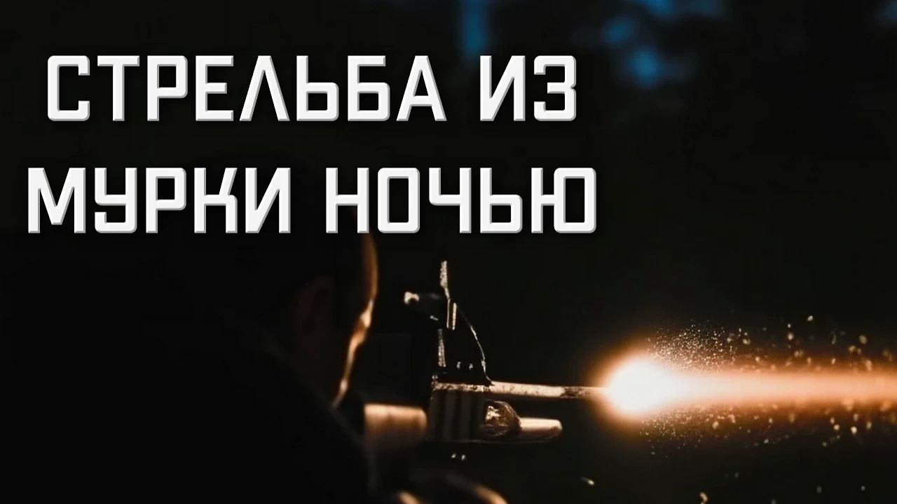 МР 512 стрельба из пневматической винтовки НОЧЬЮ В ТЕМНОТЕ смотреть онлайн