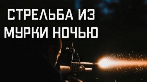 МР 512 стрельба из пневматической винтовки НОЧЬЮ В ТЕМНОТЕ