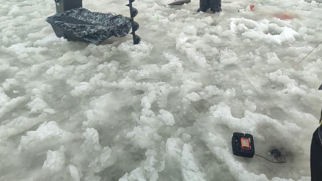 video5368550489677923913 смотреть онлайн