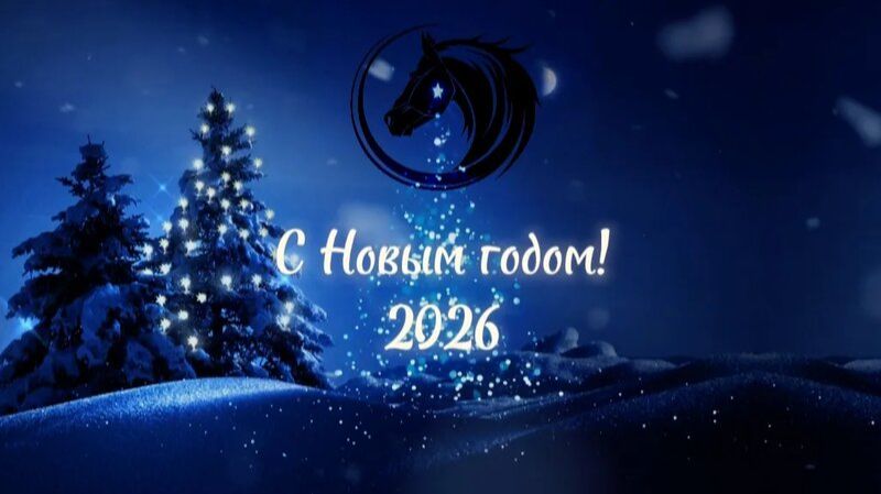 Новый 2026 год 5-11 классы