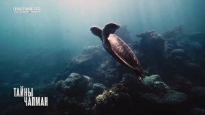 Тайны Чапман (16.12.2025)