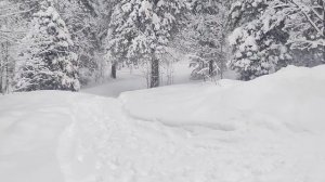 Паанаярви.mp4