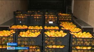 «Вести. Ставропольский край» 27.12.2025 (20:50)