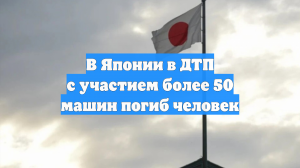В Японии в ДТП с участием более 50 машин погиб человек